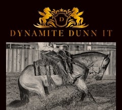 Dynamite Dunn it - Thumbnail 8