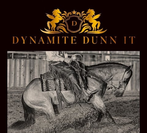 Dynamite Dunn it - Thumbnail 8
