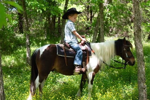 Excaliber’s Kink E Boots - Thumbnail 2