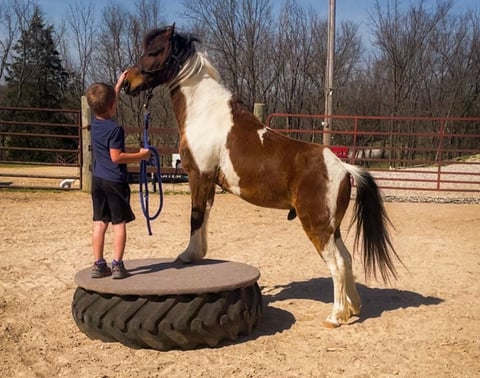 Excaliber’s Kink E Boots - Thumbnail 3