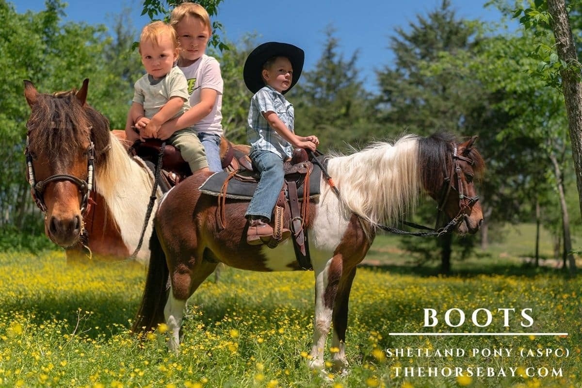 Excaliber’s Kink E Boots - Photo 1