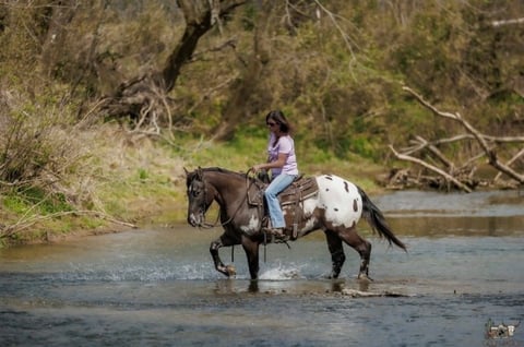 Domino - Thumbnail 4