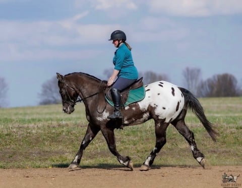 Domino - Thumbnail 5