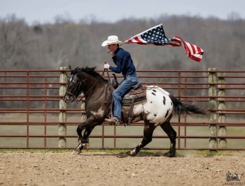 Domino - Thumbnail 6