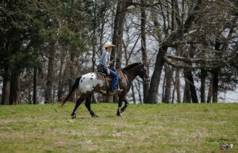 Domino - Thumbnail 8