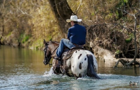 Domino - Thumbnail 9