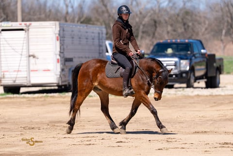 Oakley - Thumbnail 6