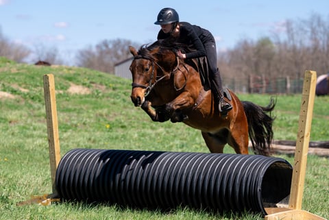 Oakley - Thumbnail 7