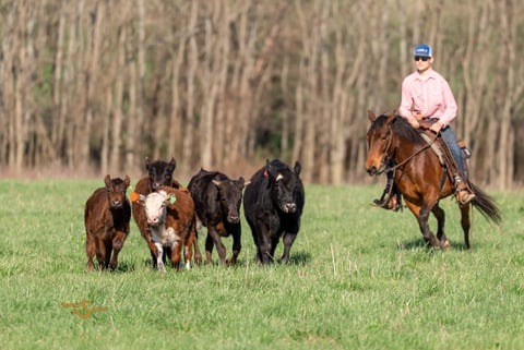 Oakley - Thumbnail 9