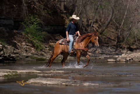 Smart Shootin Flash - Thumbnail 3