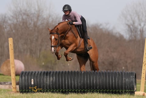 Smart Shootin Flash - Thumbnail 4