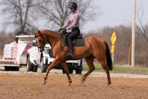 Smart Shootin Flash - Thumbnail 2