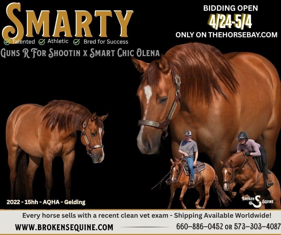 Smart Shootin Flash - Photo 1