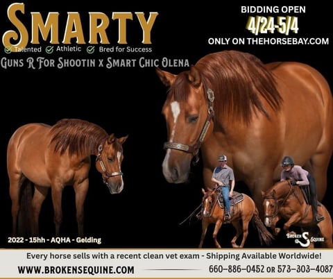 Smart Shootin Flash - Thumbnail 1