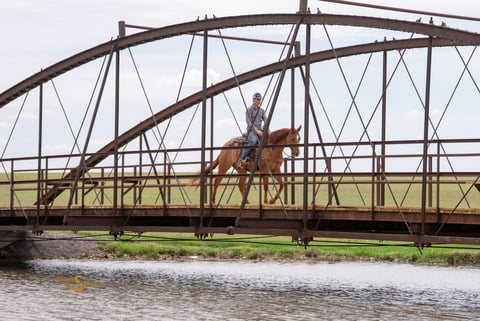 Smart Shootin Flash - Thumbnail 7