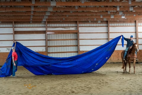 Smart Shootin Flash - Thumbnail 6