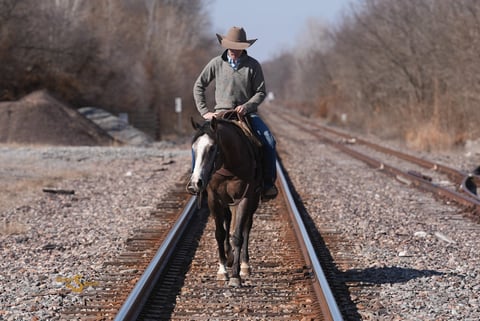 Smokums Gunn - Thumbnail 2