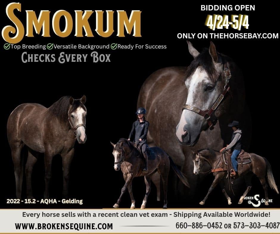 Smokums Gunn - Photo 1