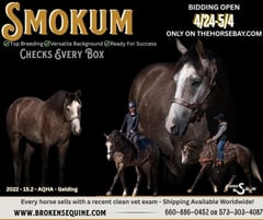 Smokums Gunn - Thumbnail 1