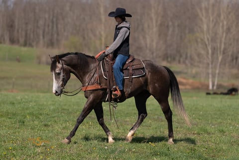 Smokums Gunn - Thumbnail 5