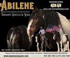 Abilene - Thumbnail 1