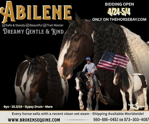 Abilene - Thumbnail 1