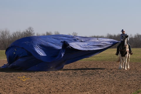 Abilene - Thumbnail 2