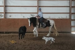 Abilene - Thumbnail 4