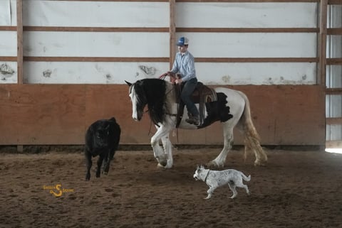 Abilene - Thumbnail 4