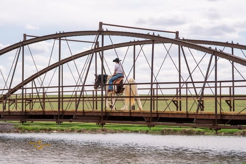 Abilene - Thumbnail 6