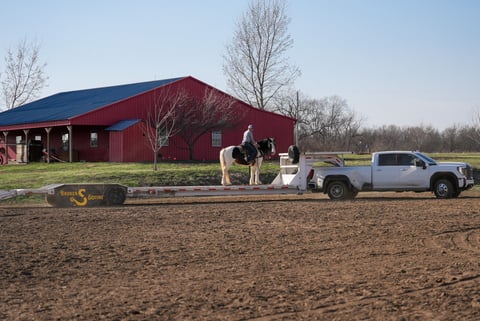 Abilene - Thumbnail 8