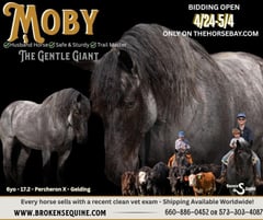 Moby - Thumbnail 1