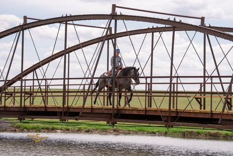 RMS Firebug - Thumbnail 2