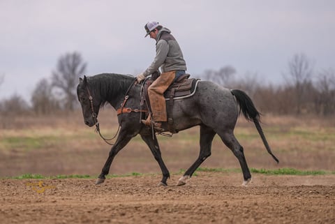 RMS Firebug - Thumbnail 3