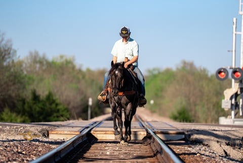 RMS Firebug - Thumbnail 6