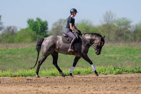 RMS Firebug - Thumbnail 7