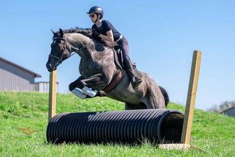 RMS Firebug - Thumbnail 8