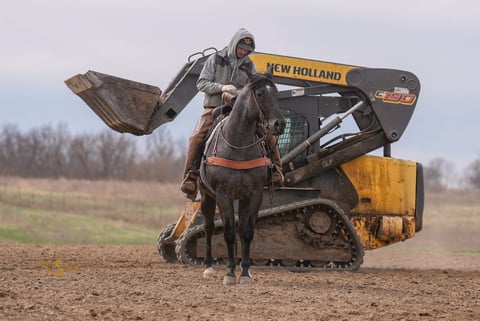 RMS Firebug - Thumbnail 9