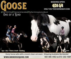 Duck Duck Goose - Thumbnail 1