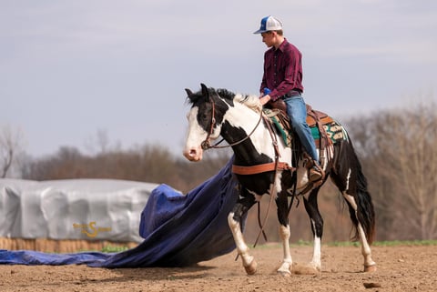 Duck Duck Goose - Thumbnail 3