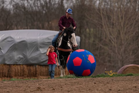 Duck Duck Goose - Thumbnail 4