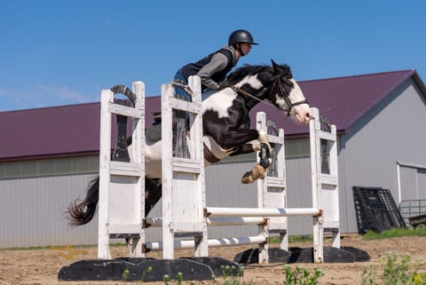 Duck Duck Goose - Thumbnail 5