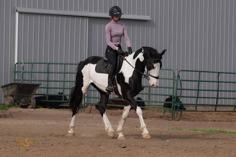 Duck Duck Goose - Thumbnail 6