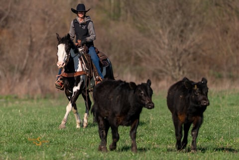 Duck Duck Goose - Thumbnail 7