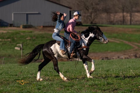 Duck Duck Goose - Thumbnail 8