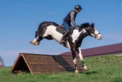 Duck Duck Goose - Thumbnail 11