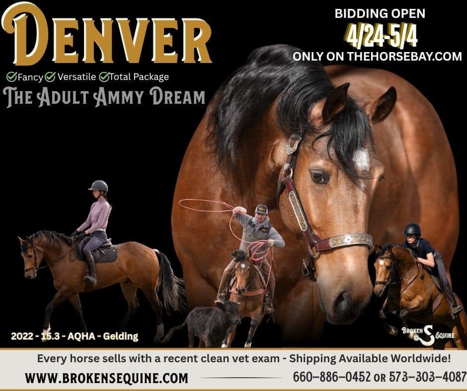 Margies Frosty Buck - Photo 1