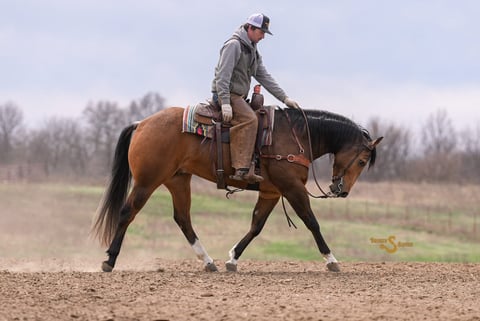 Margies Frosty Buck - Thumbnail 3