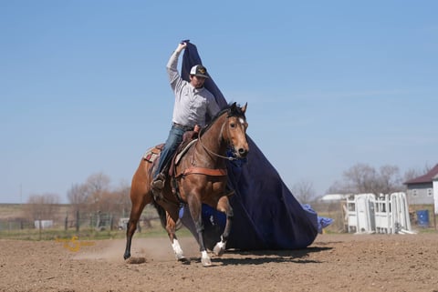 Margies Frosty Buck - Thumbnail 4