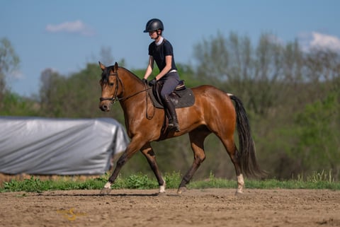 Margies Frosty Buck - Thumbnail 5